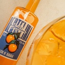 Botella Licor de Naranja BERTELINA 70 cl