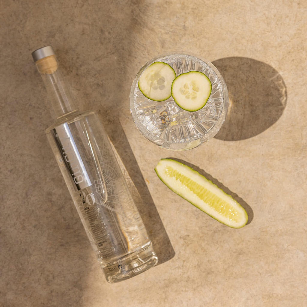 Botella GINCITY OSLO Light Premium 20% Vol. 70 cl